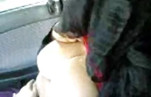 模特的家庭主妇从一个年轻的家伙的赞美流了出来